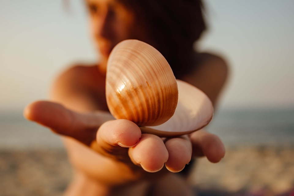 Seashell gorgeous pretty girl