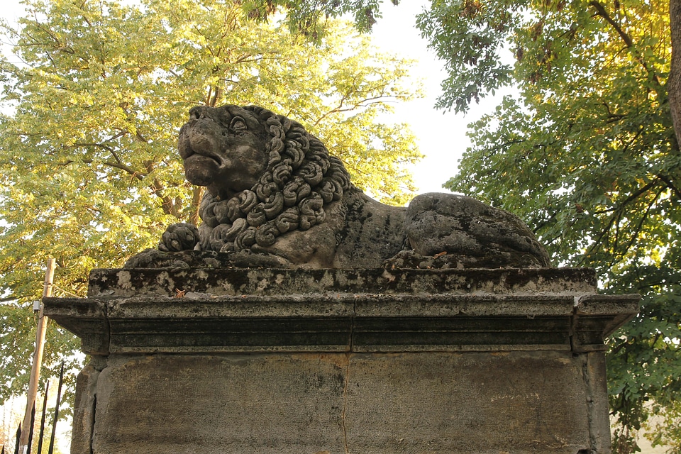 Lion sculpture art