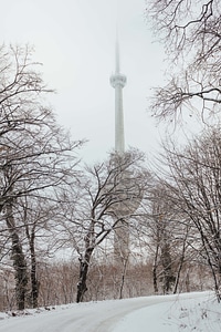 Forest Road tower winter photo