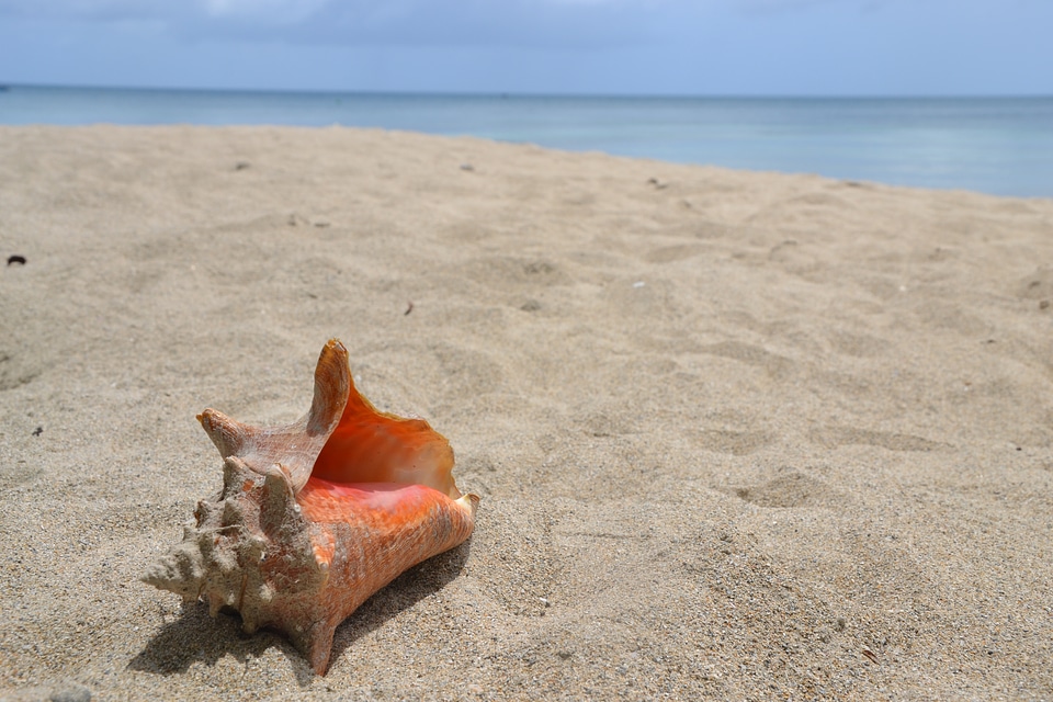 Sea vacations nature