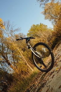Mountain Bike forest road mountain
