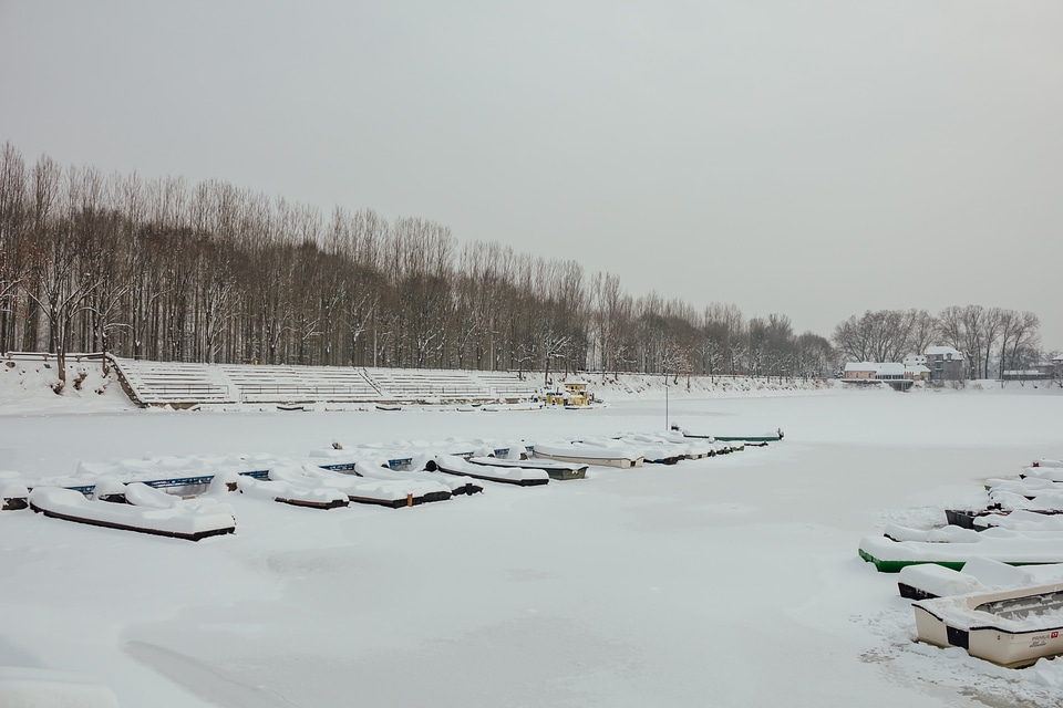 Harbour snow riverbank