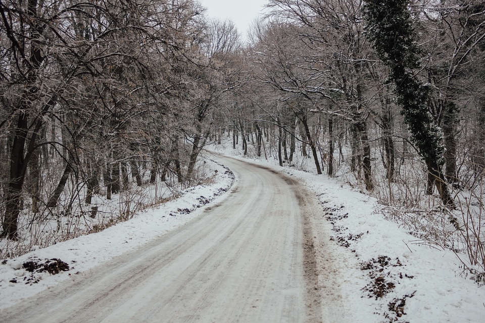 Road forest road winter