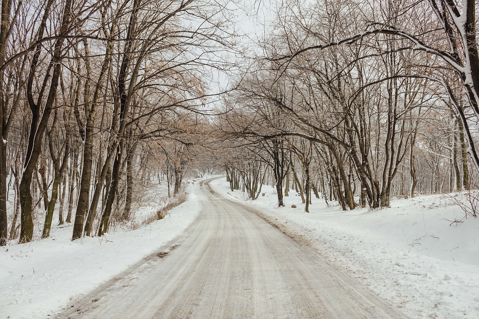 Forest Road frost snowy