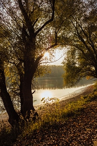 Sunshine autumn season riverbank photo