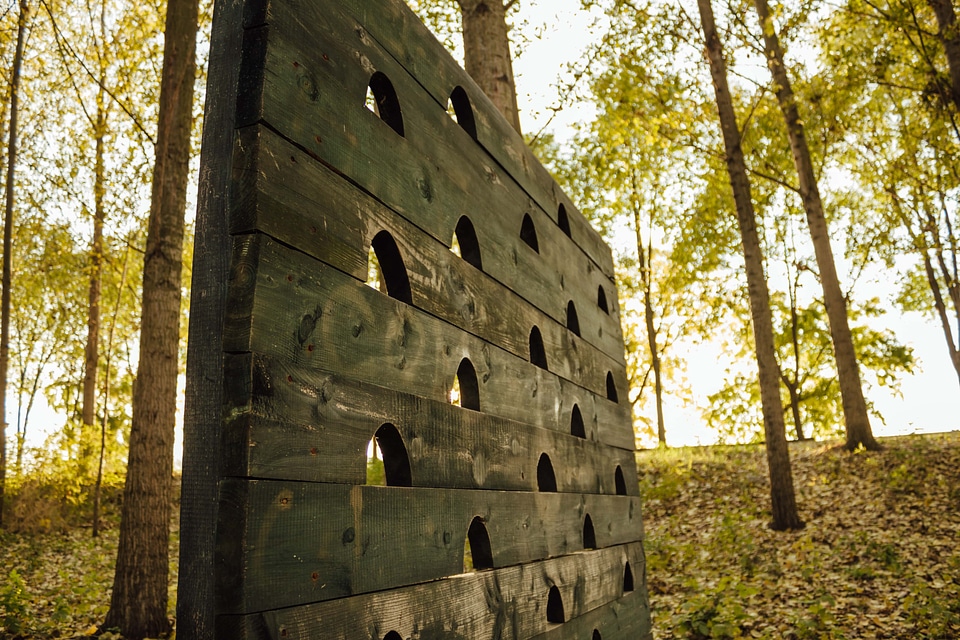 Playground carpentry forest