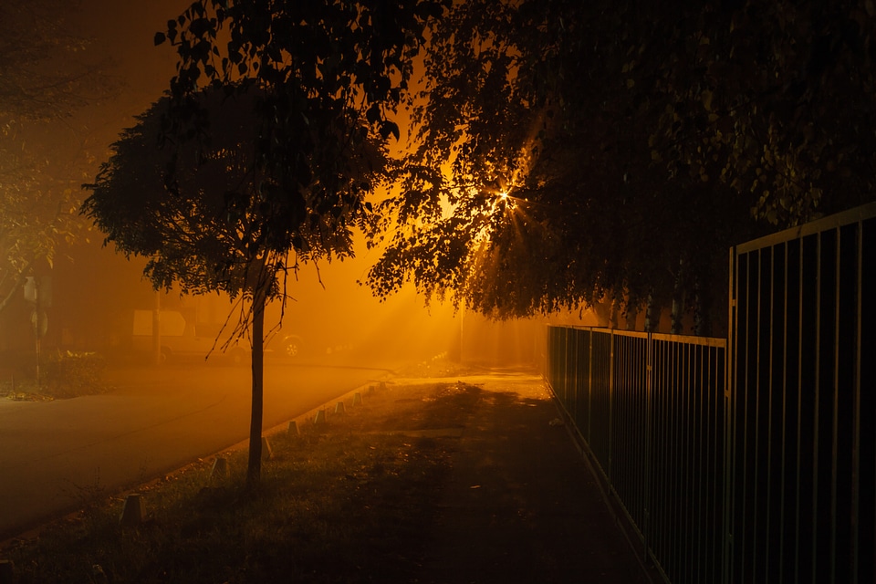 Night nighttime nightshade