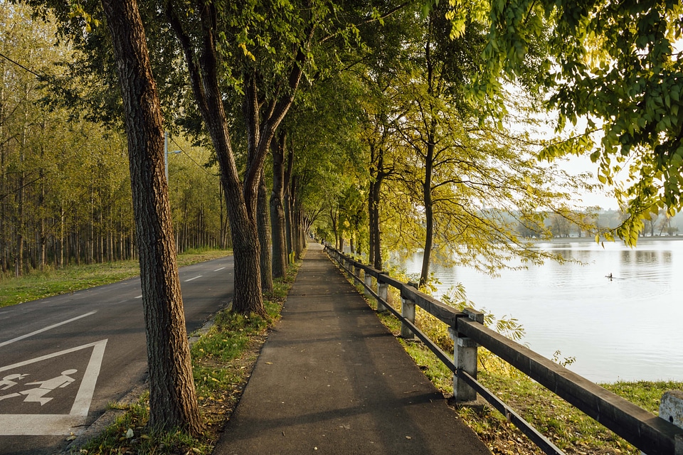 Natural Park lakeside forest road