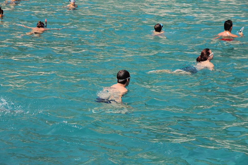Swimming swimmer swimming pool