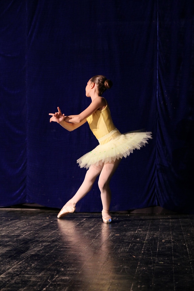Ballet performance elegance