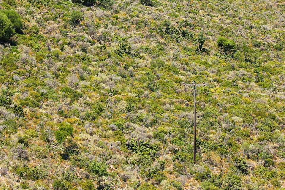 Downhill electricity wires