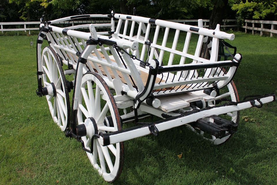Carriage village backyard