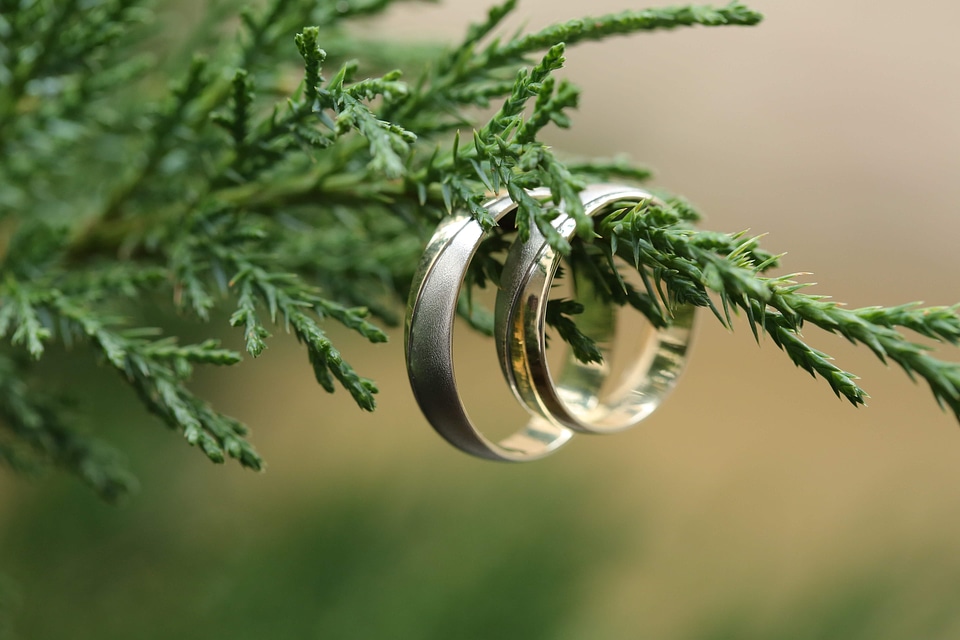 Gold wedding ring branches