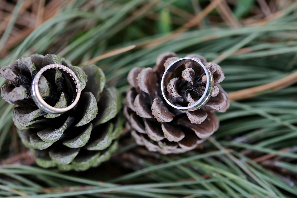 Conifers green leaves jewelry