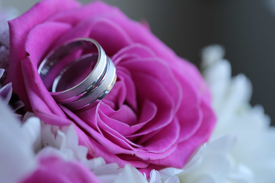 Close-Up elegance platinum