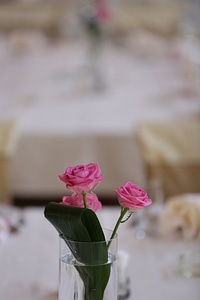 Glass roses tablecloth photo