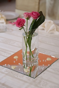 Dining Area drinking water roses