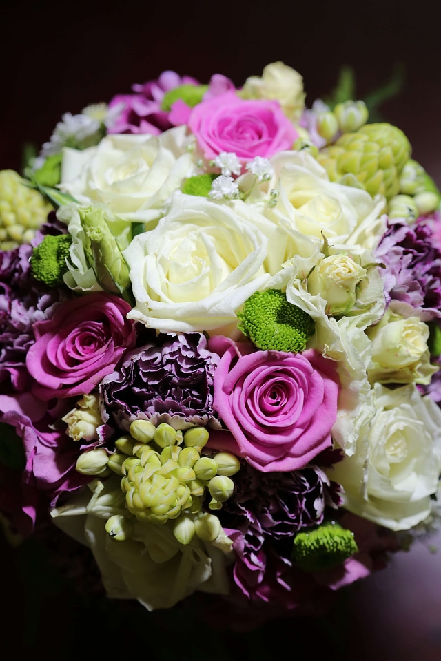 Pinkish romance roses