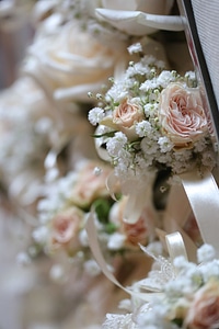 Close-Up interior decoration roses photo
