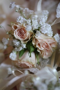 Bouquet roses wedding photo