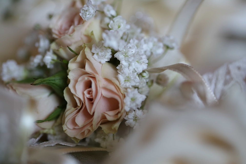 Detail flowers roses