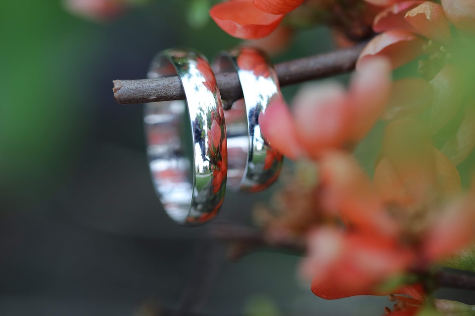 Platinum reflection rings