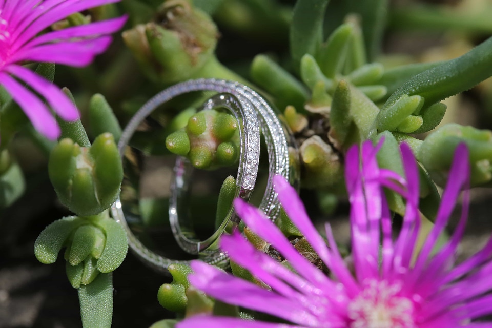 Gold platinum rings