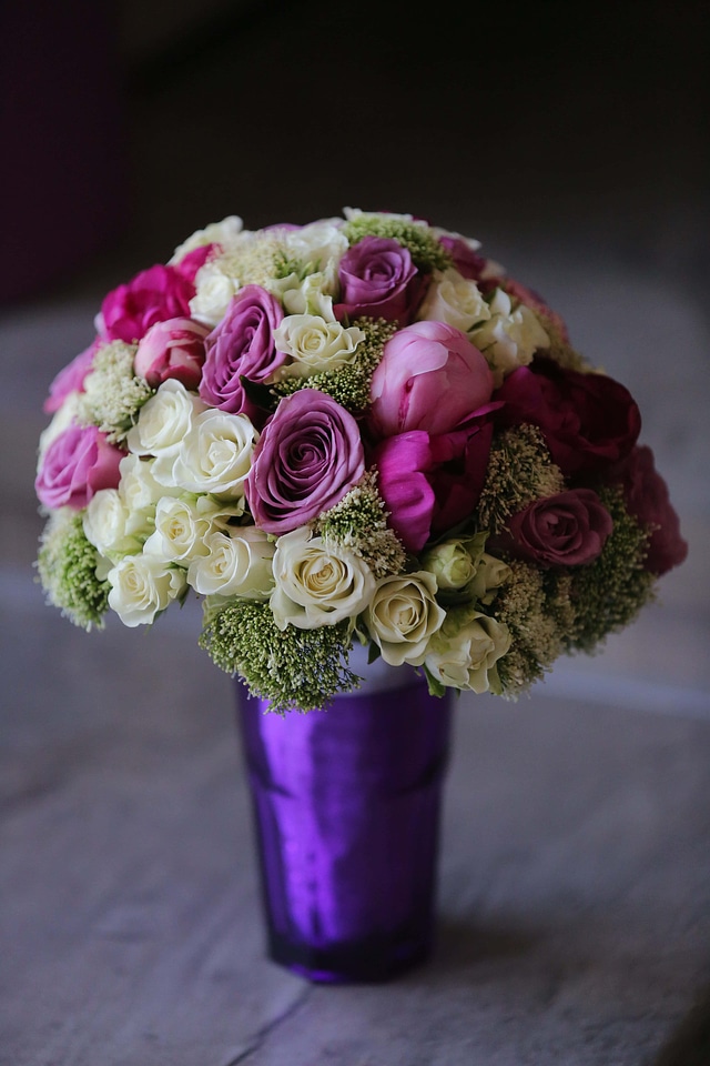 Colorful pastel purple