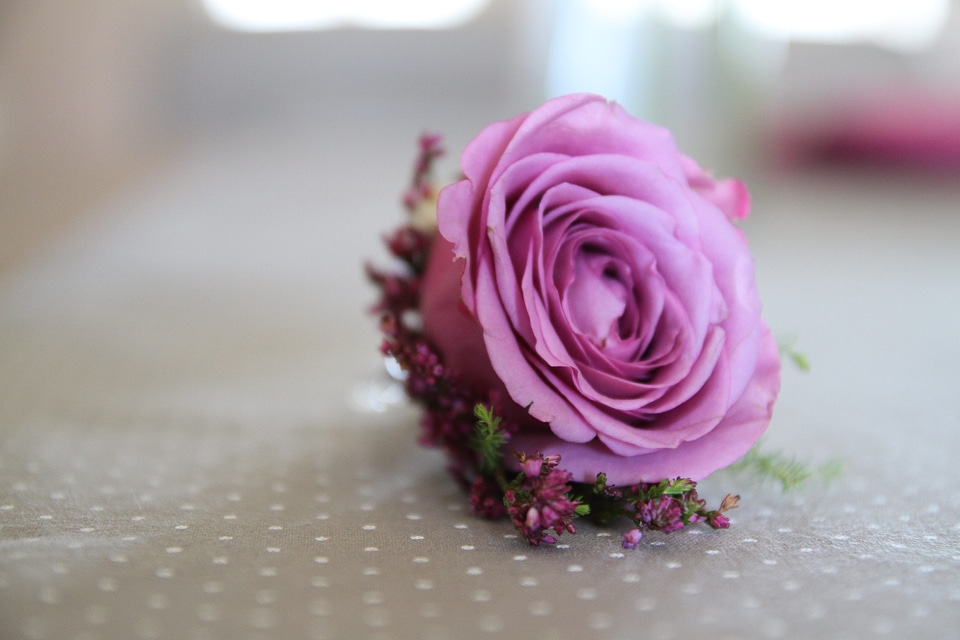 Interior Decoration pinkish rose