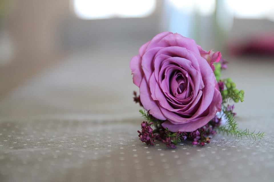 Colors decoration pastel