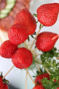 Delicious dietary elegant