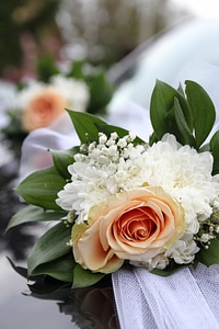 Wedding love flower photo