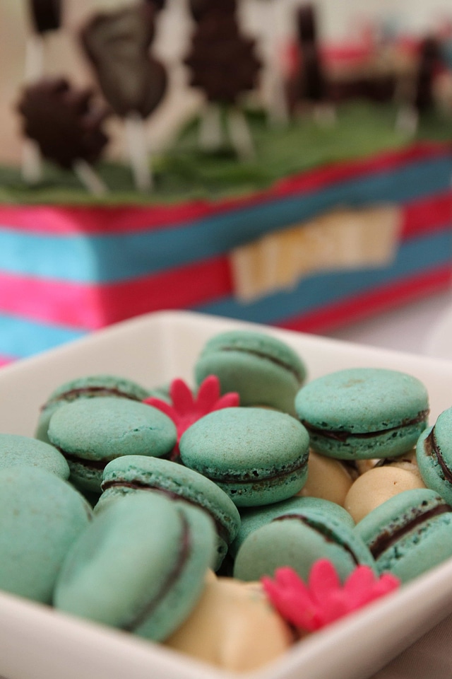 Baked Goods biscuit cookies