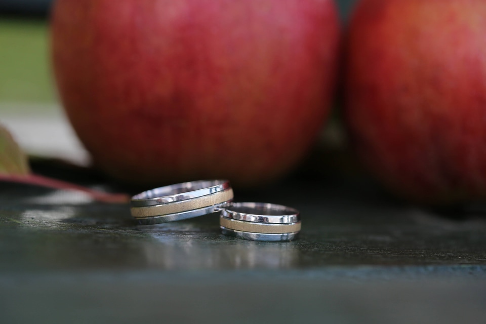 Apple apples close-up