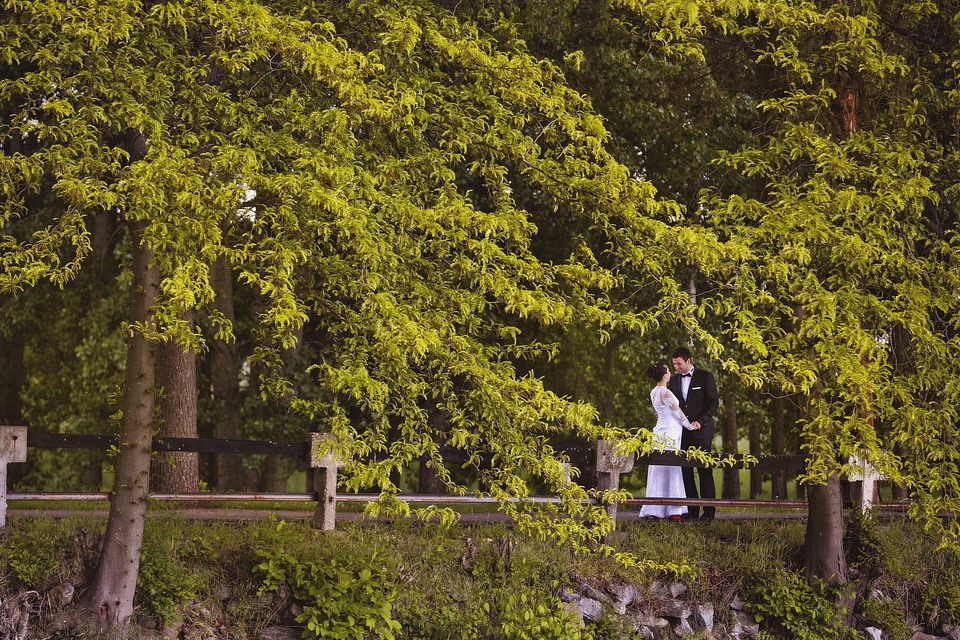 Bride fashion forest road
