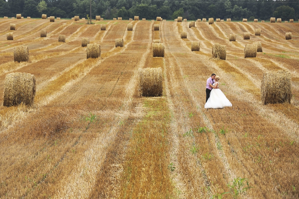 Agriculture hay field hug