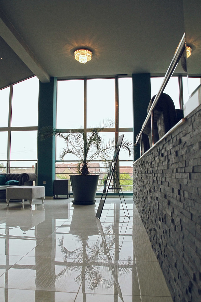 Ceiling contemporary elegant