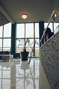 Ceiling contemporary elegant