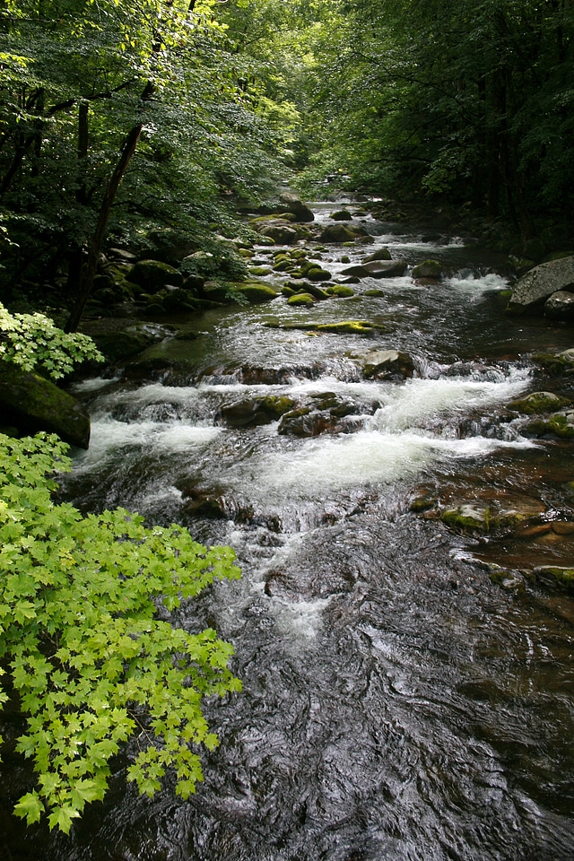 Water green creek