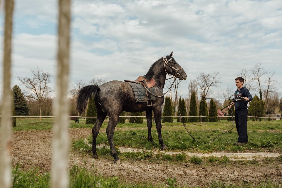 Boy horse horse racing