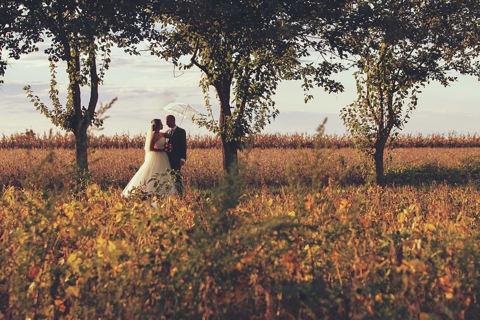 Agriculture bride countryside