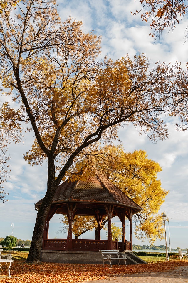 Autumn Season exterior oak
