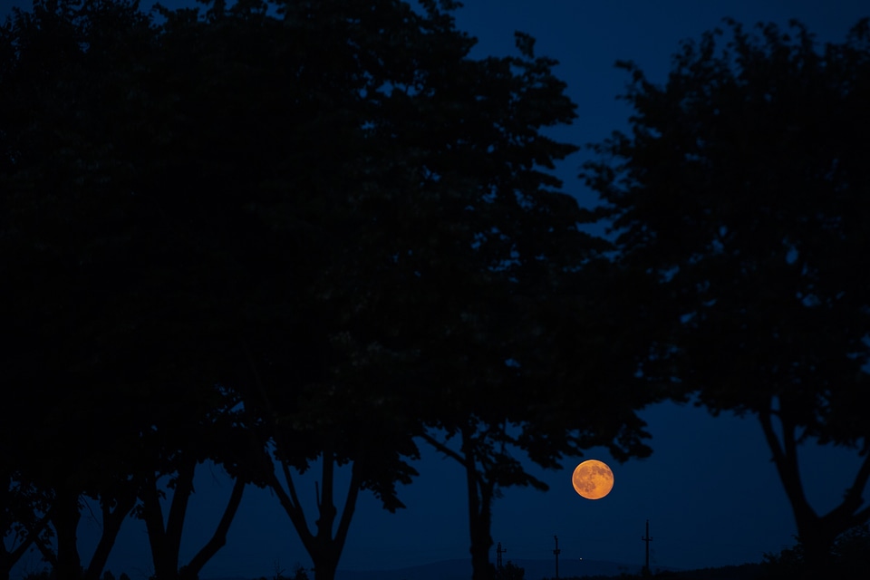 Midnight moonlight night
