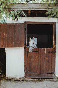 Farmhouse farmland front door