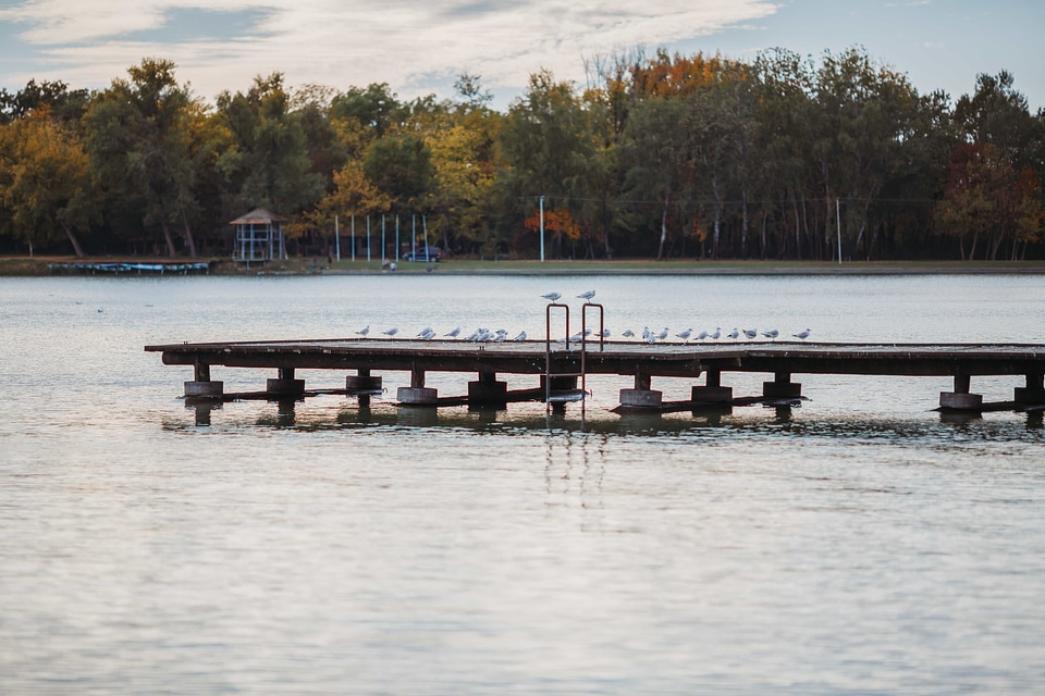 Dock lakeside resort area
