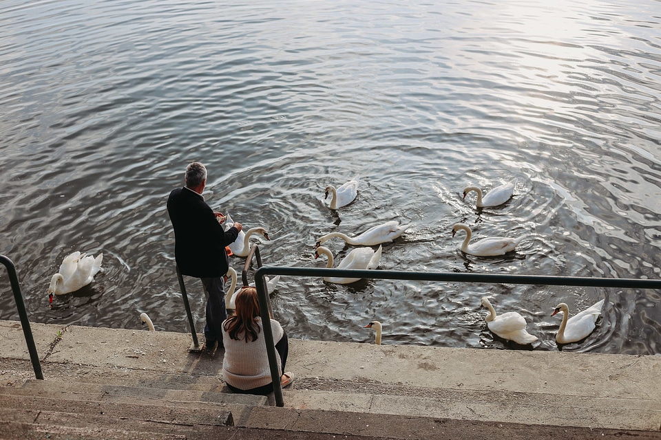 Businessman feeding recreation