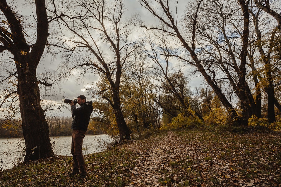 Autumn Season forest path photo model