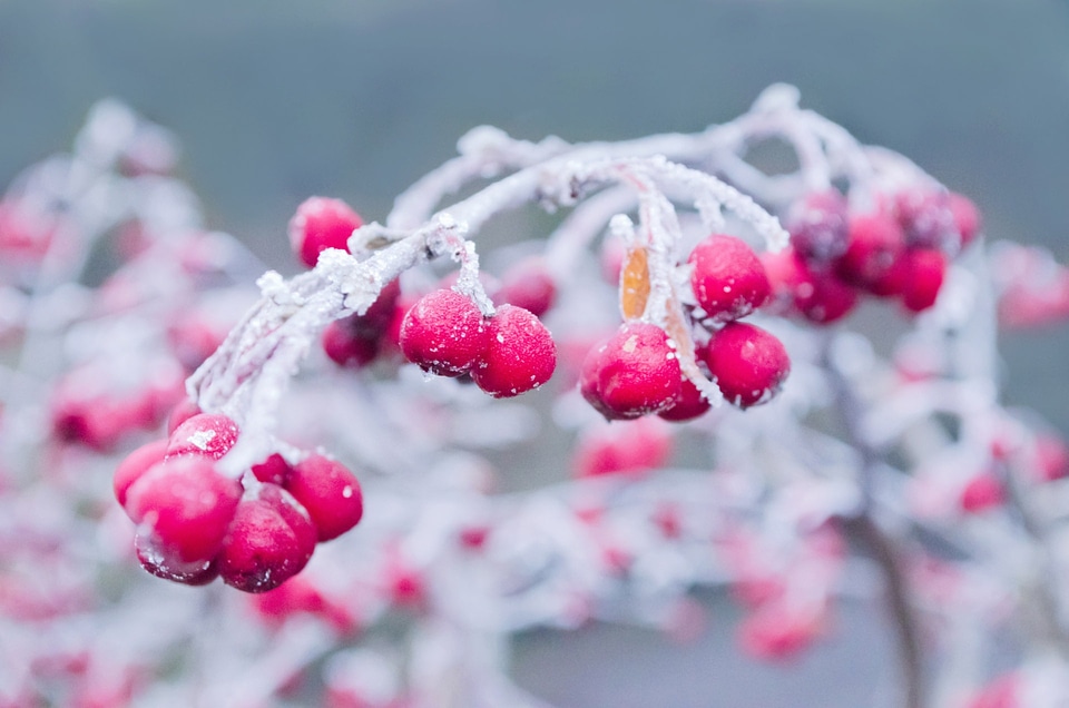 Background seasons nature