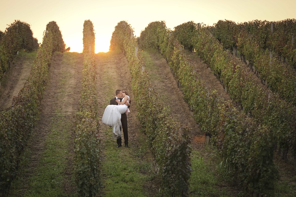 Bride groom hillside
