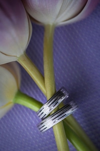 Flower Bud flowers jewelry